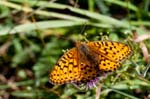 12/08/2017 - 5db37755 - Bessans (73480)