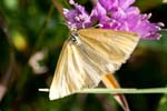 12/08/2017 - 5db37758 - Bessans (73480)