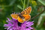 13/08/2017 - 5db38114 - Val-Cenis (73480)