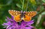 13/08/2017 - 5db38116 - Val-Cenis (73480)