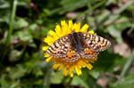 13/08/2017 - 5db38134 - Val-Cenis (73480)