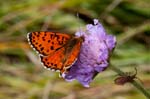 13/08/2017 - 5db38140 - Val-Cenis (73480)