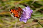 13/08/2017 - 5db38141 - Val-Cenis (73480)