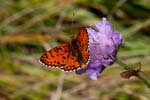 13/08/2017 - 5db38143 - Val-Cenis (73480)