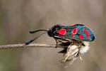 2017-08-14 - 5db38469 - Bessans (73480)