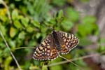 16/08/2017 - 5db39709 - Bessans (73480)