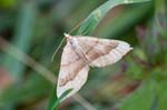 17/08/2017 - 5db39847 - Bessans (73480)