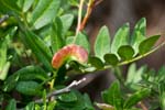 2017-09-09 - 5db42359 - Lumio (20260)