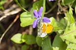 05/05/2018 - 5ds14818 - Trévignin (73100)