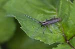 2018-05-14 - 5ds17777 - Ruffieux (73310) 2018-05-14 - 5ds17777 - Ruffieux (73310)