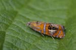 13/06/2018 - 5ds21114 - Fontainebleau (77300)