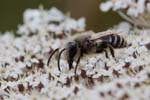 2018-07-21 - 5ds27011 - Saint-Leu-la-Forêt (95320)