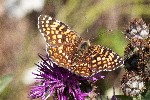 01/08/2018 - 5ds30874 - Bessans (73480)