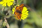 01/08/2018 - 5ds30894 - Bessans (73480)