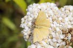 06/08/2018 - 5ds35338 - Bessans (73480)