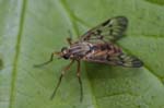 20/05/2019 - 5ds56673 - Gretz-Armainvilliers (77220)