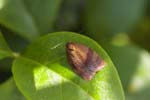 23/05/2019 - 5ds57102 - Cimetière de Montmartre (75018)