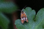 01/06/2019 - 5ds58617 - Rians (83560)