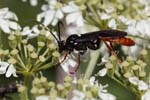 2019-07-30 - 5ds63535 - Bessans (73480) 2019-07-30 - 5ds63535 - Bessans (73480)