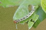 30/04/2022 - 5dt00704 - Gretz-Armainvilliers (77220)