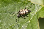 03/06/2023 - 5dt24608 - Gretz-Armainvilliers (77220) 03/06/2023 - 5dt24608 - Gretz-Armainvilliers (77220)