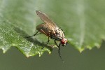 10/08/2023 - 5dt31522 - Bessans (73480)