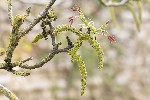 24/04/2025 - 5du02937 - Saint-Sornin (17600)