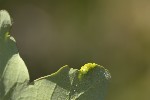 2025-06-07 - 5du13293 - Signes (83870)