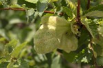 2025-06-09 - 5du16316 - Mazaugues (83136)