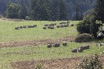 5du23084 - 